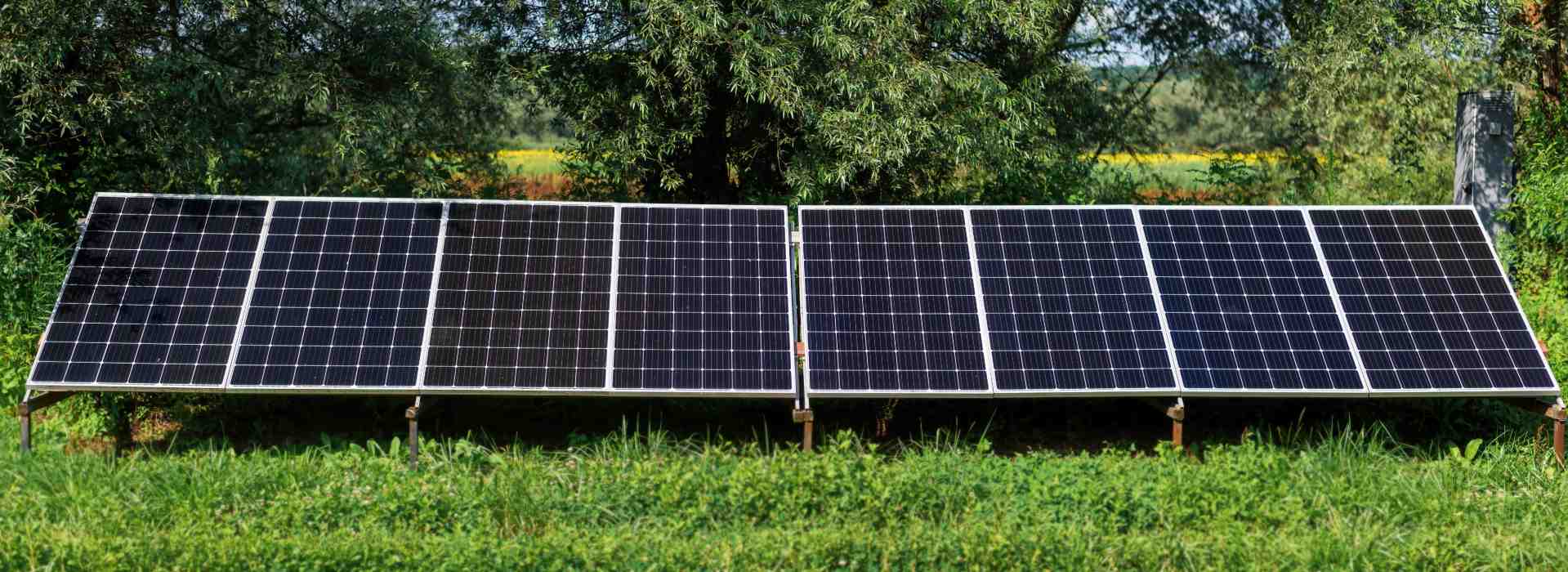Ground mounted solar panels in a farm